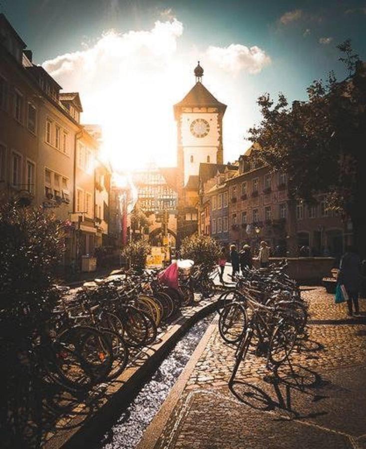 Luxus Apartment Colloseum In Der Stadt Friburgo em Brisgóvia Exterior foto